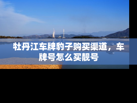 牡丹江车牌豹子购买渠道，车牌号怎么买靓号