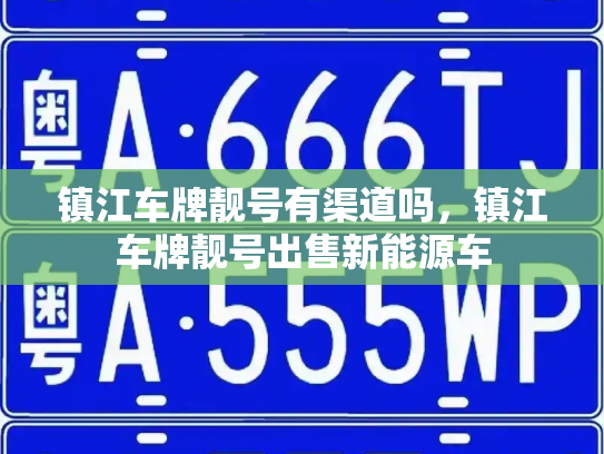 镇江车牌靓号有渠道吗,镇江车牌靓号出售新能源车-第2张图片-七号汽车选号 镇江车牌靓号有渠道吗,镇江车牌靓号出售新能源车-第2张图片-七号汽车选号