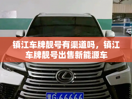 镇江车牌靓号有渠道吗,镇江车牌靓号出售新能源车-第3张图片-七号汽车选号 镇江车牌靓号有渠道吗,镇江车牌靓号出售新能源车-第3张图片-七号汽车选号