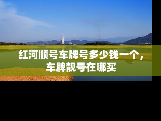 红河顺号车牌号多少钱一个，车牌靓号在哪买