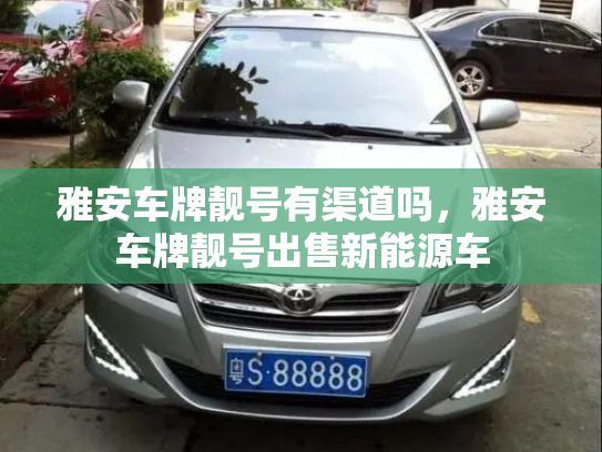雅安车牌靓号有渠道吗，雅安车牌靓号出售新能源车-第3张图片-七号汽车选号