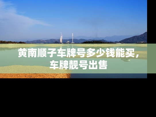 黄南顺子车牌号多少钱能买，车牌靓号出售