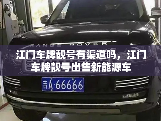 江门车牌靓号有渠道吗,江门车牌靓号出售新能源车-第2张图片-七号汽车选号 江门车牌靓号有渠道吗,江门车牌靓号出售新能源车-第2张图片-七号汽车选号
