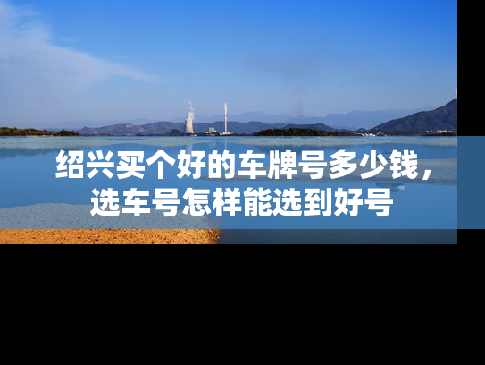 绍兴买个好的车牌号多少钱，选车号怎样能选到好号