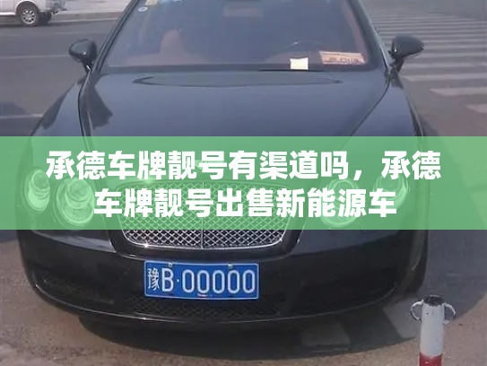 承德车牌靓号有渠道吗,承德车牌靓号出售新能源车-第2张图片-七号汽车选号 承德车牌靓号有渠道吗,承德车牌靓号出售新能源车-第2张图片-七号汽车选号