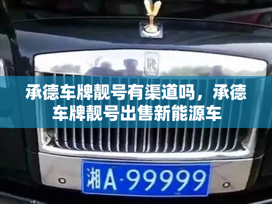 承德车牌靓号有渠道吗,承德车牌靓号出售新能源车-第3张图片-七号汽车选号 承德车牌靓号有渠道吗,承德车牌靓号出售新能源车-第3张图片-七号汽车选号