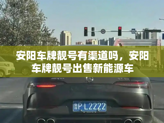 安阳车牌靓号有渠道吗,安阳车牌靓号出售新能源车-第2张图片-七号汽车选号 安阳车牌靓号有渠道吗,安阳车牌靓号出售新能源车-第2张图片-七号汽车选号
