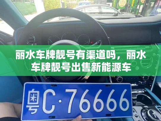 丽水车牌靓号有渠道吗，丽水车牌靓号出售新能源车-第2张图片-七号汽车选号