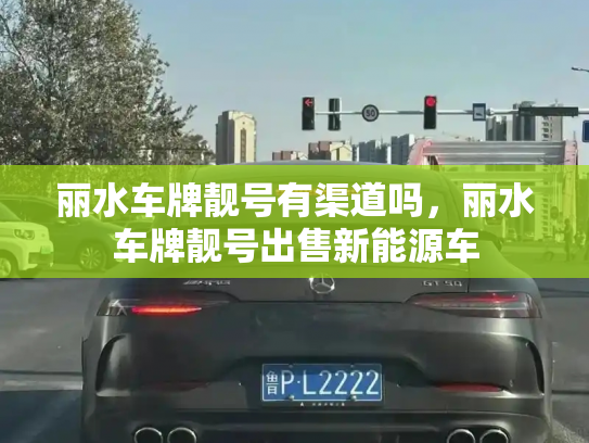 丽水车牌靓号有渠道吗，丽水车牌靓号出售新能源车-第3张图片-七号汽车选号