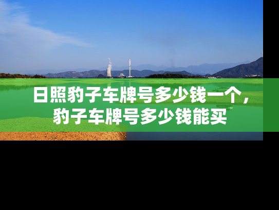 日照豹子车牌号多少钱一个，豹子车牌号多少钱能买