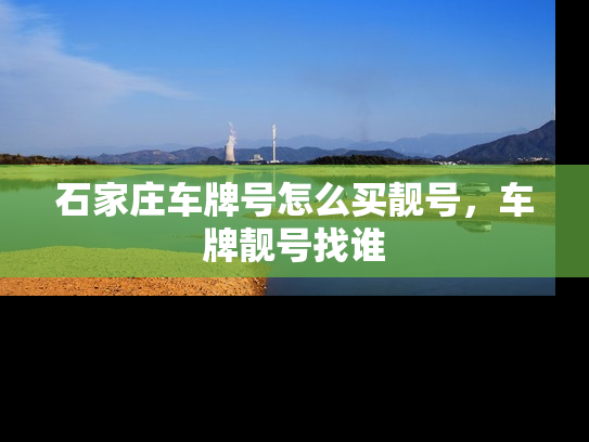 石家庄车牌号怎么买靓号，车牌靓号找谁