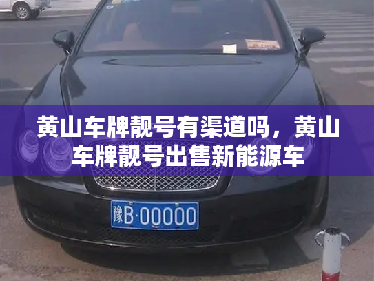 黄山车牌靓号有渠道吗，黄山车牌靓号出售新能源车-第2张图片-七号汽车选号