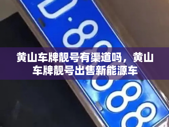 黄山车牌靓号有渠道吗，黄山车牌靓号出售新能源车-第3张图片-七号汽车选号