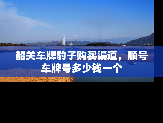 韶关车牌豹子购买渠道，顺号车牌号多少钱一个