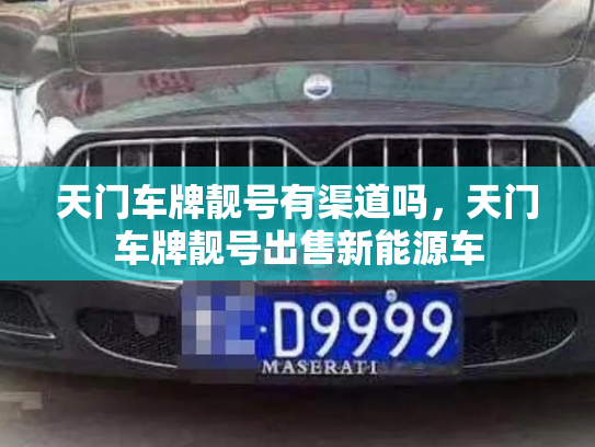天门车牌靓号有渠道吗，天门车牌靓号出售新能源车-第2张图片-七号汽车选号