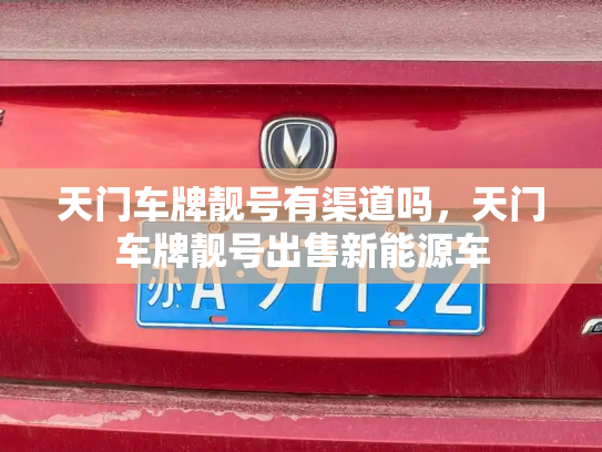 天门车牌靓号有渠道吗，天门车牌靓号出售新能源车-第3张图片-七号汽车选号