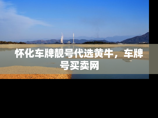 怀化车牌靓号代选黄牛，车牌号买卖网