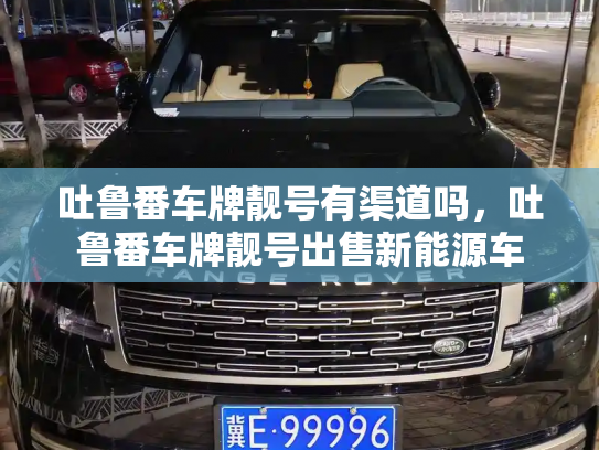 吐鲁番车牌靓号有渠道吗,吐鲁番车牌靓号出售新能源车-第2张图片-七号汽车选号 吐鲁番车牌靓号有渠道吗,吐鲁番车牌靓号出售新能源车-第2张图片-七号汽车选号