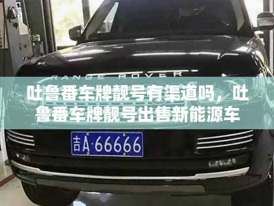 吐鲁番车牌靓号有渠道吗,吐鲁番车牌靓号出售新能源车-第3张图片-七号汽车选号 吐鲁番车牌靓号有渠道吗,吐鲁番车牌靓号出售新能源车-第3张图片-七号汽车选号