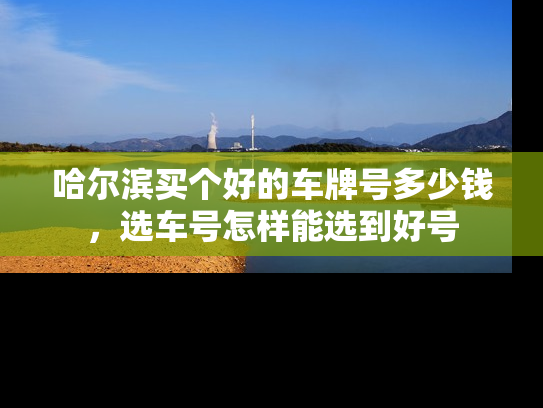 哈尔滨买个好的车牌号多少钱，选车号怎样能选到好号