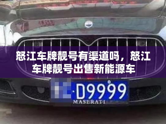 怒江车牌靓号有渠道吗,怒江车牌靓号出售新能源车-第2张图片-七号汽车选号 怒江车牌靓号有渠道吗,怒江车牌靓号出售新能源车-第2张图片-七号汽车选号