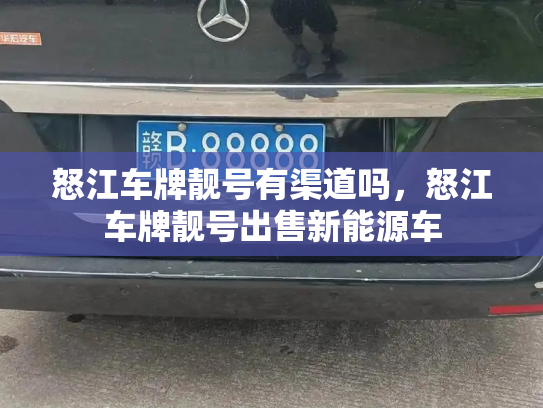 怒江车牌靓号有渠道吗,怒江车牌靓号出售新能源车-第3张图片-七号汽车选号 怒江车牌靓号有渠道吗,怒江车牌靓号出售新能源车-第3张图片-七号汽车选号