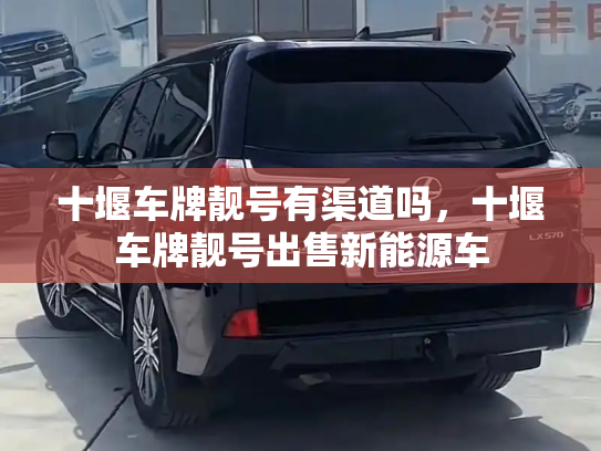 十堰车牌靓号有渠道吗，十堰车牌靓号出售新能源车-第2张图片-七号汽车选号