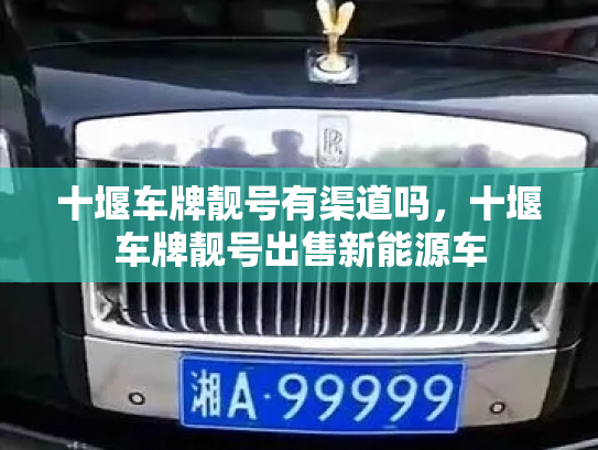 十堰车牌靓号有渠道吗，十堰车牌靓号出售新能源车-第3张图片-七号汽车选号