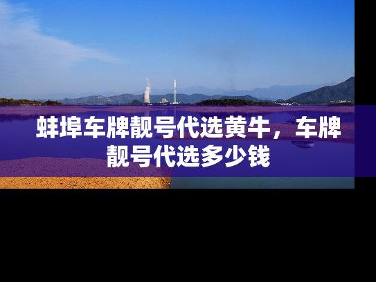 蚌埠车牌靓号代选黄牛，车牌靓号代选多少钱