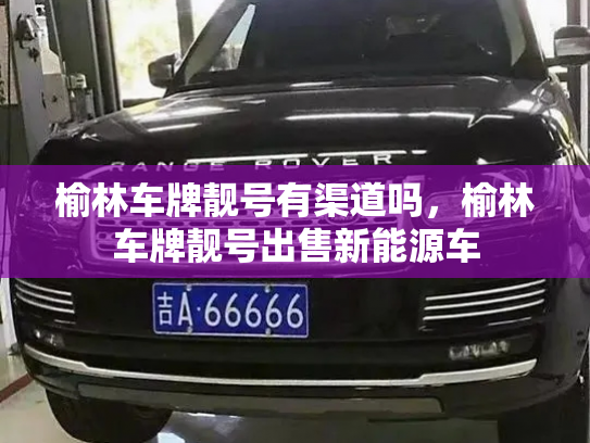 榆林车牌靓号有渠道吗，榆林车牌靓号出售新能源车-第2张图片-七号汽车选号