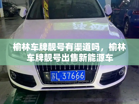 榆林车牌靓号有渠道吗，榆林车牌靓号出售新能源车-第3张图片-七号汽车选号
