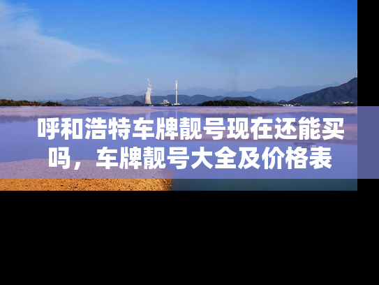 呼和浩特车牌靓号现在还能买吗，车牌靓号大全及价格表