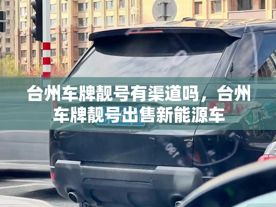 台州车牌靓号有渠道吗，台州车牌靓号出售新能源车-第2张图片-七号汽车选号