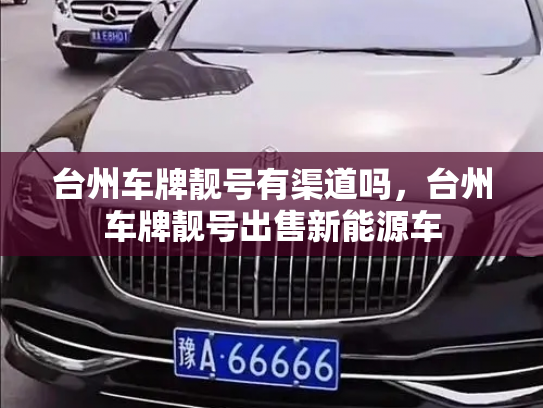 台州车牌靓号有渠道吗，台州车牌靓号出售新能源车-第3张图片-七号汽车选号