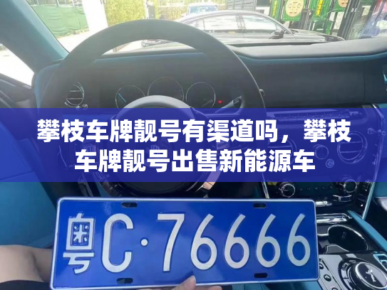 攀枝车牌靓号有渠道吗，攀枝车牌靓号出售新能源车-第2张图片-七号汽车选号