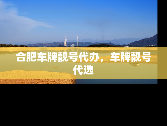 合肥车牌靓号代办，车牌靓号代选