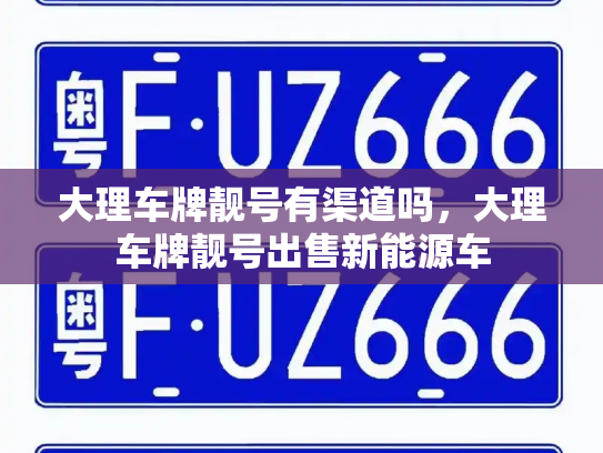 大理车牌靓号有渠道吗，大理车牌靓号出售新能源车-第2张图片-七号汽车选号