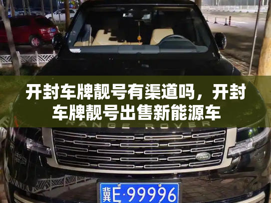 开封车牌靓号有渠道吗,开封车牌靓号出售新能源车-第2张图片-七号汽车选号 开封车牌靓号有渠道吗,开封车牌靓号出售新能源车-第2张图片-七号汽车选号