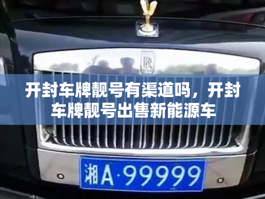 开封车牌靓号有渠道吗,开封车牌靓号出售新能源车-第3张图片-七号汽车选号 开封车牌靓号有渠道吗,开封车牌靓号出售新能源车-第3张图片-七号汽车选号