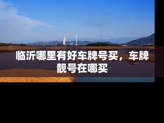 临沂哪里有好车牌号买，车牌靓号在哪买