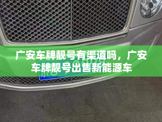广安车牌靓号有渠道吗,广安车牌靓号出售新能源车-第2张图片-七号汽车选号 广安车牌靓号有渠道吗,广安车牌靓号出售新能源车-第2张图片-七号汽车选号