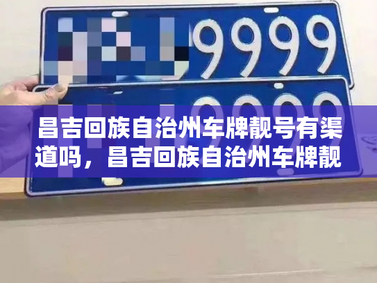 昌吉回族自治州车牌靓号有渠道吗,昌吉回族自治州车牌靓号出售新能源车-第2张图片-七号汽车选号 昌吉回族自治州车牌靓号有渠道吗,昌吉回族自治州车牌靓号出售新能源车-第2张图片-七号汽车选号