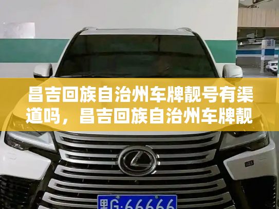 昌吉回族自治州车牌靓号有渠道吗,昌吉回族自治州车牌靓号出售新能源车-第3张图片-七号汽车选号 昌吉回族自治州车牌靓号有渠道吗,昌吉回族自治州车牌靓号出售新能源车-第3张图片-七号汽车选号