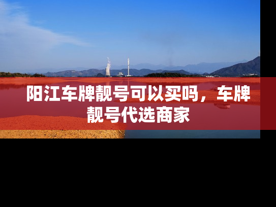阳江车牌靓号可以买吗，车牌靓号代选商家