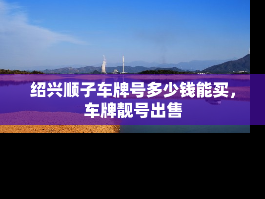 绍兴顺子车牌号多少钱能买，车牌靓号出售