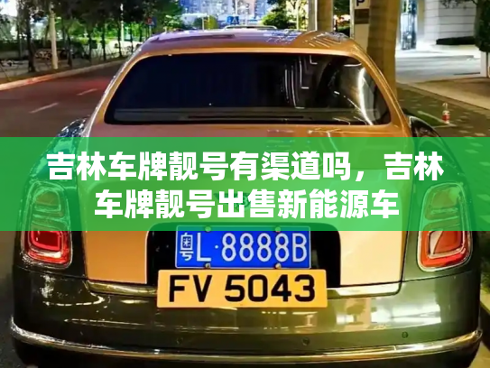 吉林车牌靓号有渠道吗,吉林车牌靓号出售新能源车-第2张图片-七号汽车选号 吉林车牌靓号有渠道吗,吉林车牌靓号出售新能源车-第2张图片-七号汽车选号