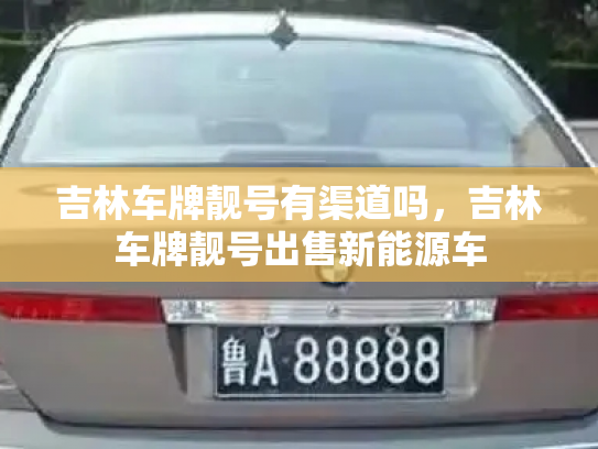吉林车牌靓号有渠道吗,吉林车牌靓号出售新能源车-第3张图片-七号汽车选号 吉林车牌靓号有渠道吗,吉林车牌靓号出售新能源车-第3张图片-七号汽车选号