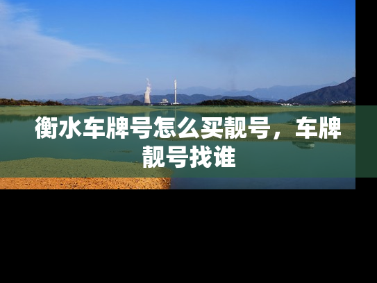 衡水车牌号怎么买靓号，车牌靓号找谁