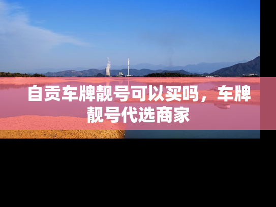 自贡车牌靓号可以买吗，车牌靓号代选商家