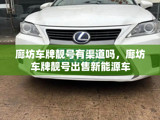 廊坊车牌靓号有渠道吗,廊坊车牌靓号出售新能源车-第2张图片-七号汽车选号 廊坊车牌靓号有渠道吗,廊坊车牌靓号出售新能源车-第2张图片-七号汽车选号